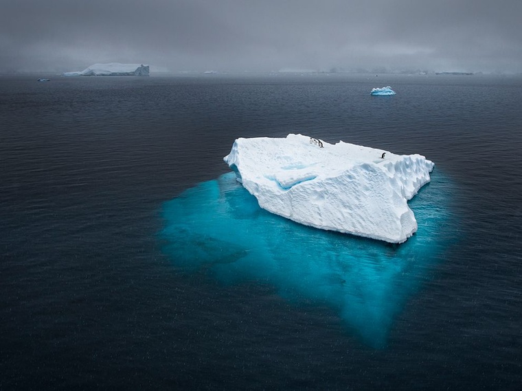 penguins-icebeg-antarctica.jpg