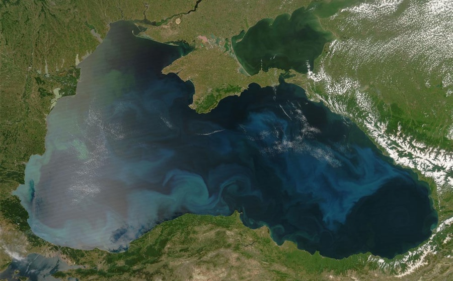 这张图片展示了2008年6月4日土耳其边黑海南岸色彩斑斓的浮游生物。这张自然色图像是由.jpg