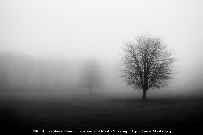 mary_h_johnson_settling_fog_0.jpg