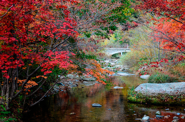 DSC_8623副本_副本.jpg
