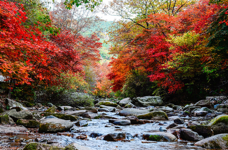 DSC_8641副本_副本.jpg