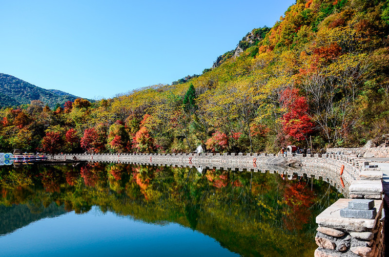 DSC_8999副本_副本.jpg