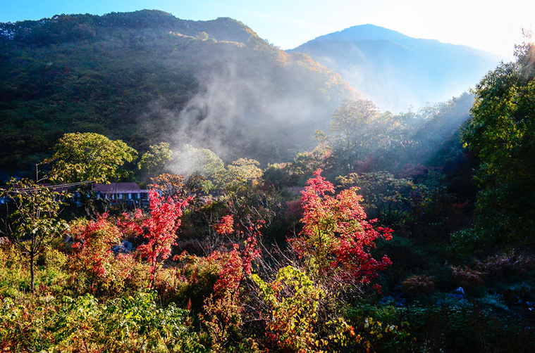 DSC_8372副本_副本.jpg