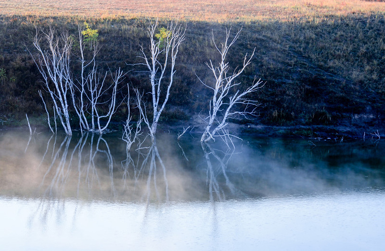 DSC_6930副本1.jpg