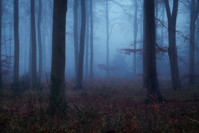 leeacaster3-670x446.jpg
