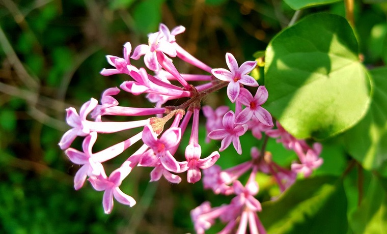 20160525_162526_副本.jpg