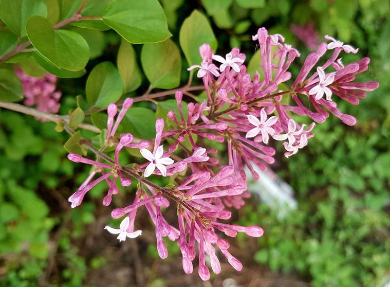 20160525_163013_副本.jpg