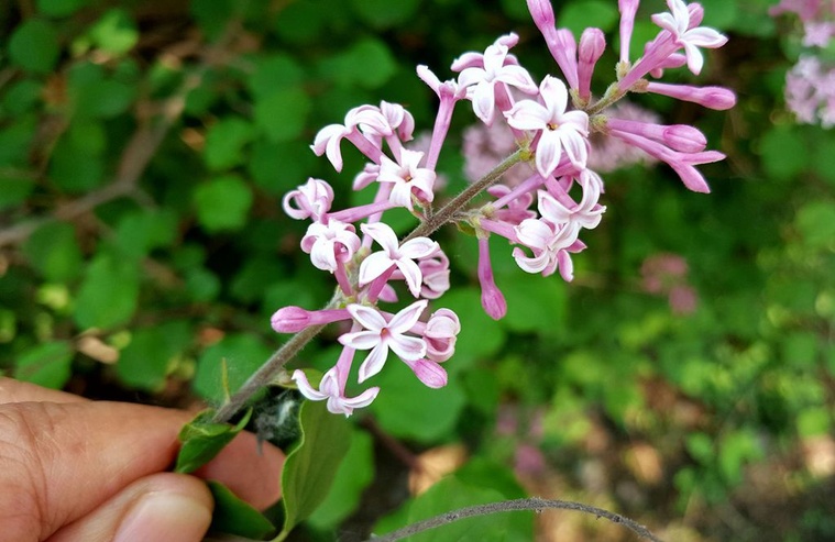 20160525_163123_副本.jpg