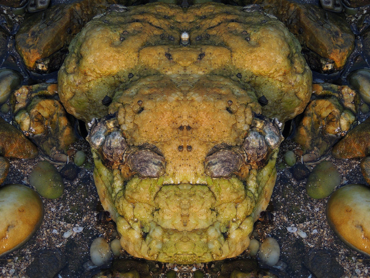 DSCN6962_副本.jpg