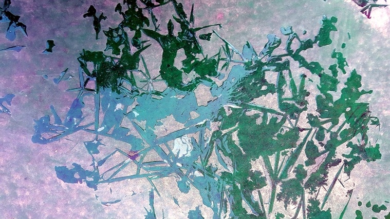 30-20161026_084351.jpg