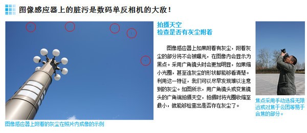 81.jpg