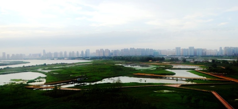 DSC08085_副本.jpg