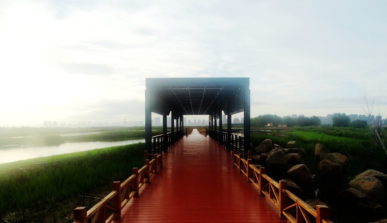 DSC08114_副本.jpg