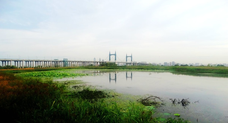 DSC08130_副本.jpg