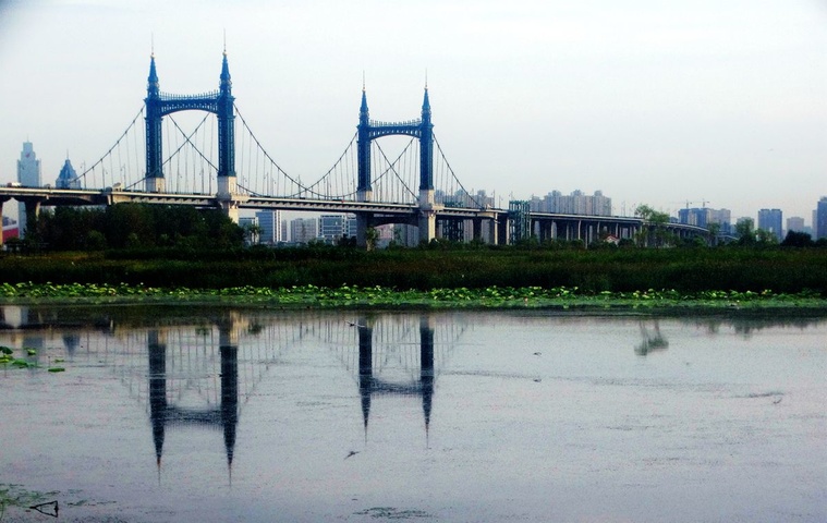 DSC08131_副本.jpg
