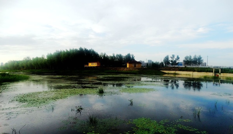 DSC08140_副本.jpg