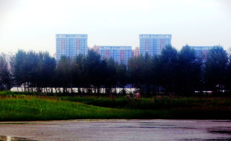 DSC08165_副本.jpg