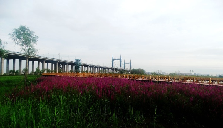 DSC08166_副本.jpg