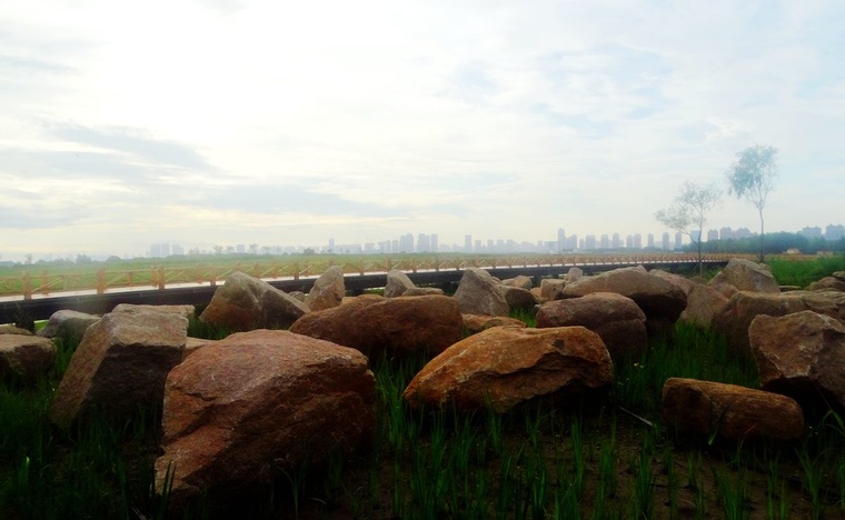 DSC08167_副本.jpg