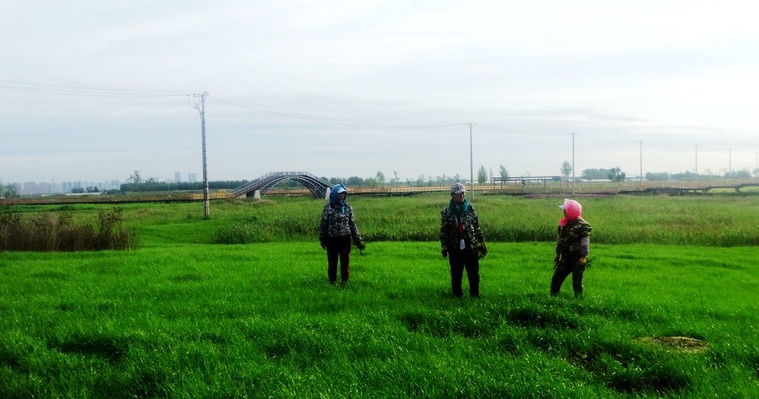 DSC08169_副本.jpg