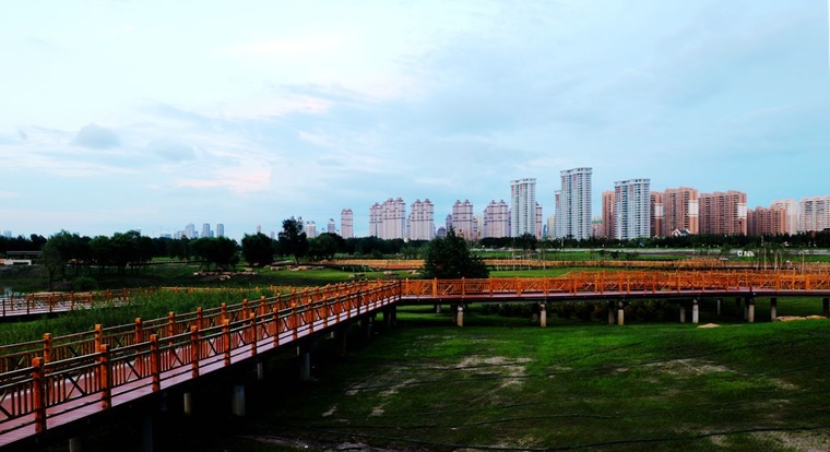 IMG_8538_副本.jpg