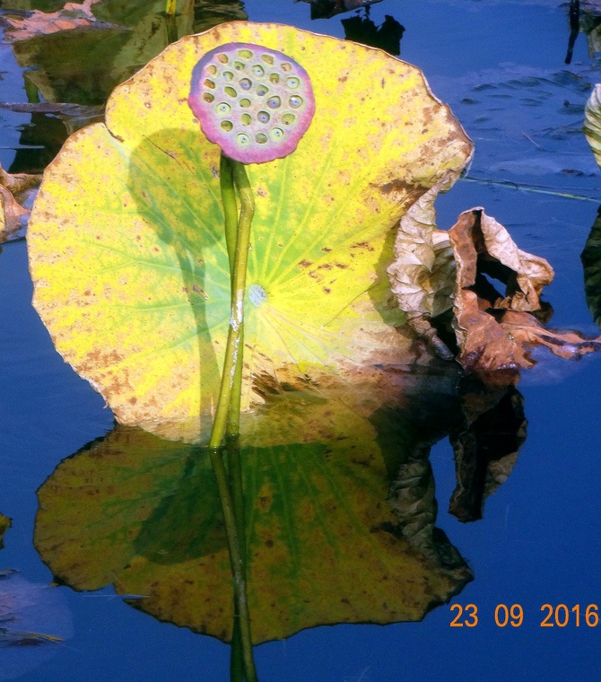 DSC03864_副本_副本.jpg
