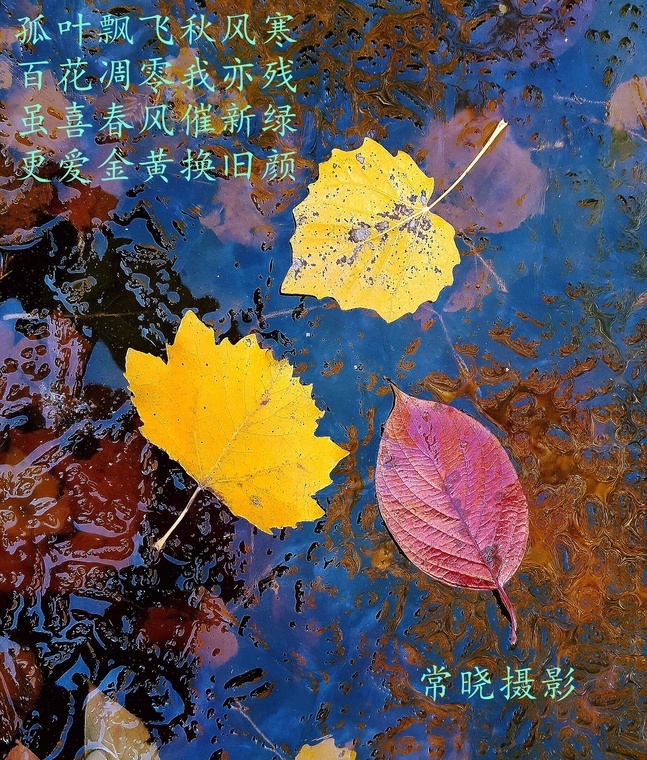 20161020_090344.jpg
