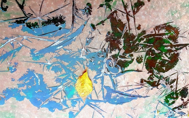 17-20161026_083630.jpg