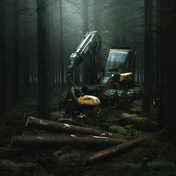 wood_40740736932_ce246ffccf_o.jpg