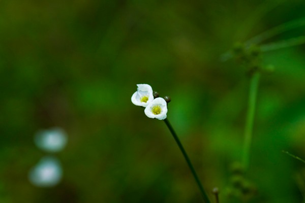 IMG_2335.JPG
