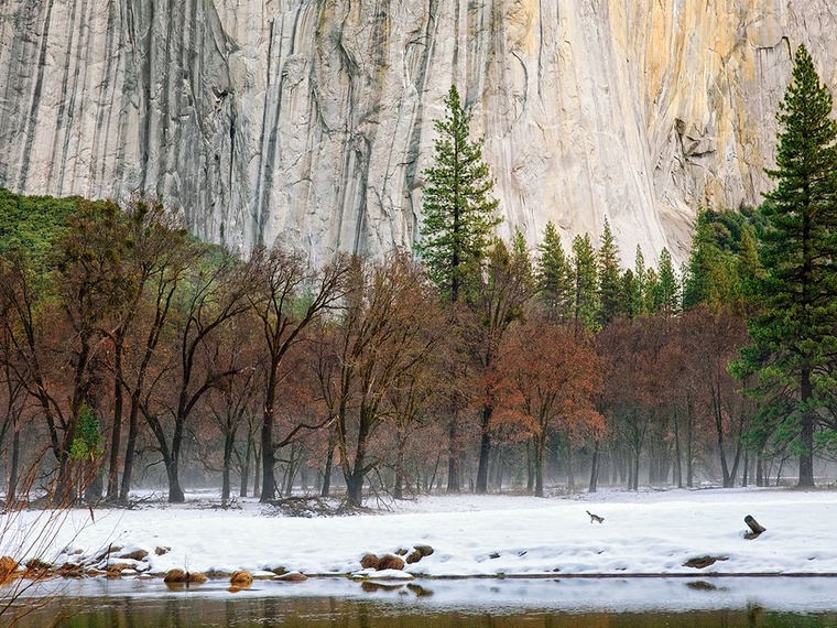 winter-morning-yosemite.jpg