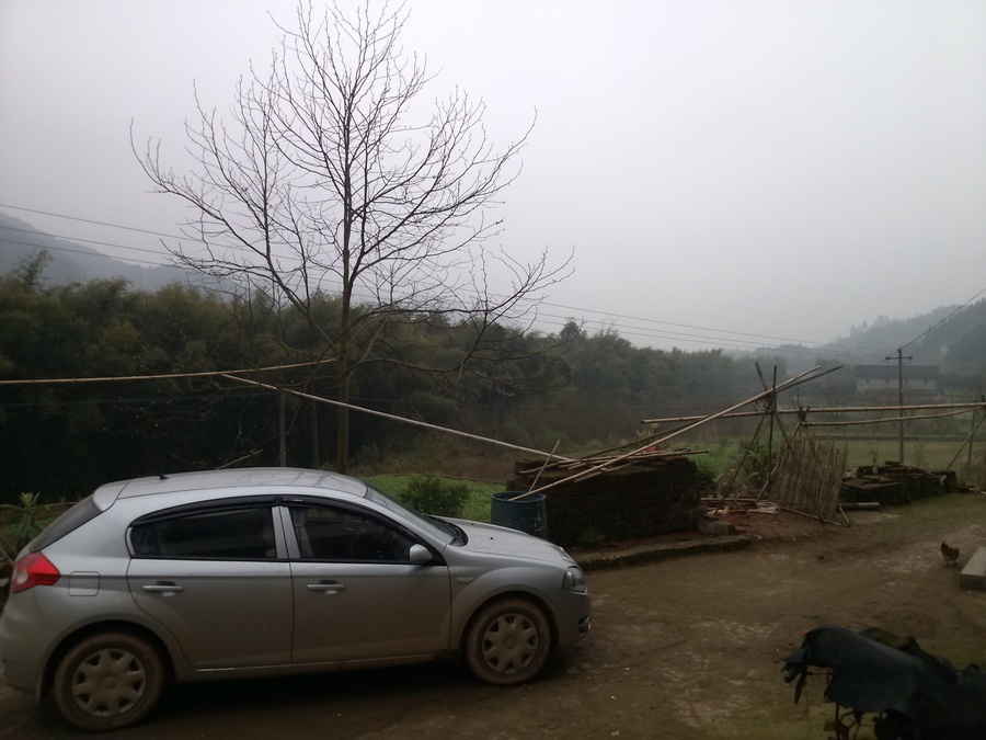 CAM00442.jpg