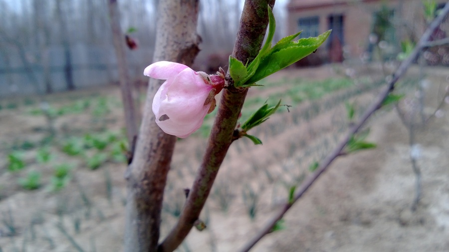 WP_20130329_019.jpg
