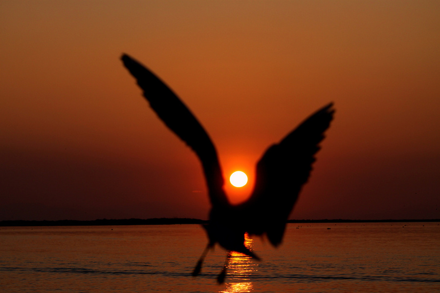 sunset 1.jpg