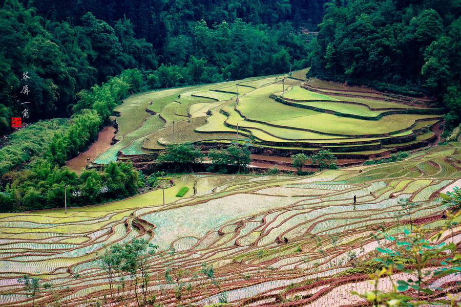 勤劳