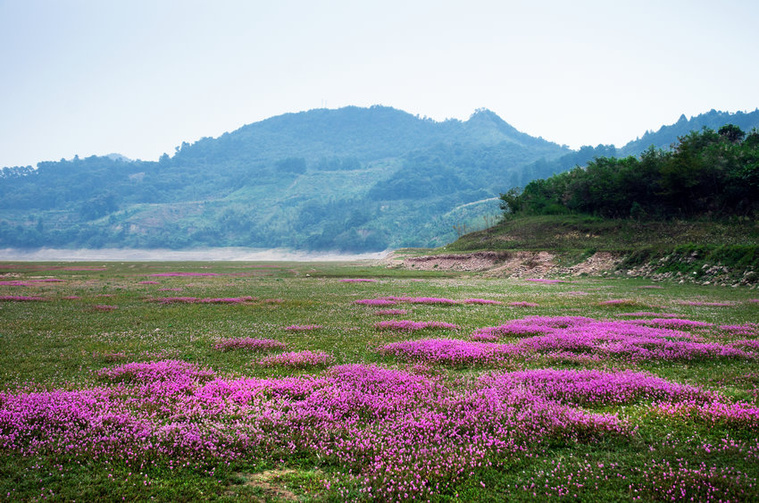 DSC_9645副本.jpg