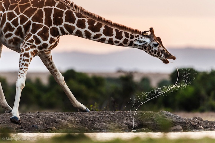 nationalgeographic05.jpg