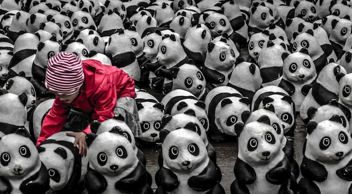 nationalgeographic03.jpg