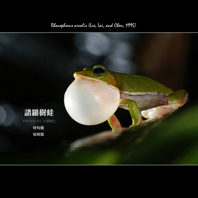 2c5402d8d9ea769b78f1e29c43fdb5c4.jpg