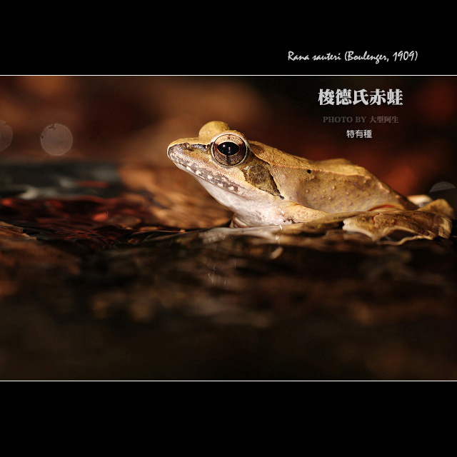 177ef5d4afd91b321f3f08d9b5f1a33c.jpg