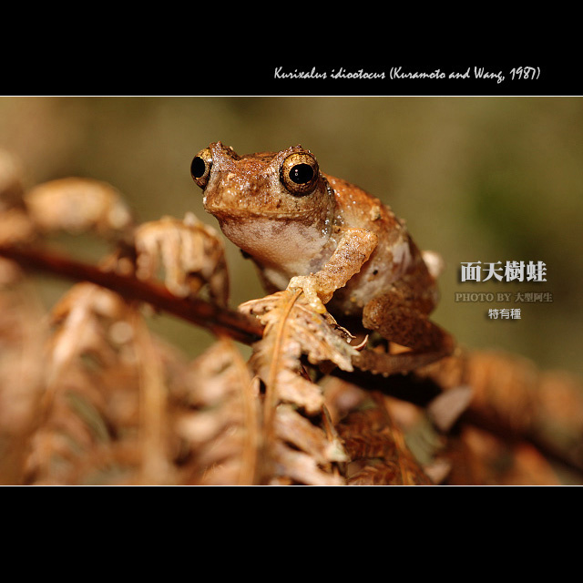c00cf22934772111b36b4cbdab46a767.jpg