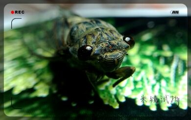 IMG_20140117_121952.jpg