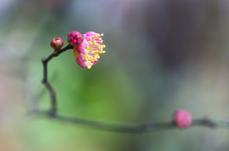 DSC_6604副本.jpg