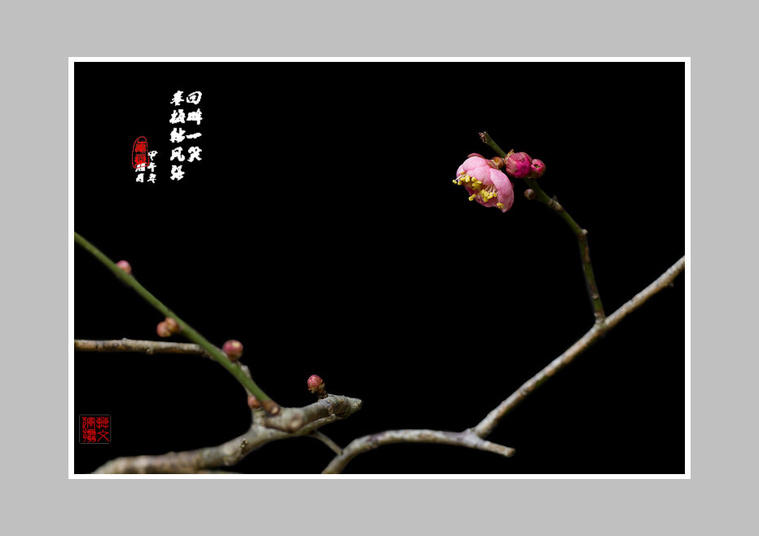 DSC_6624副本.jpg