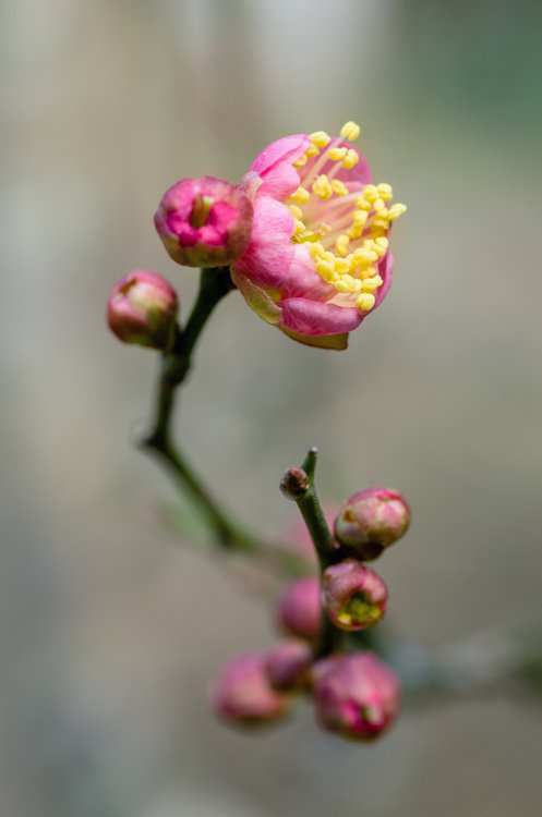 DSC_6584副本.jpg