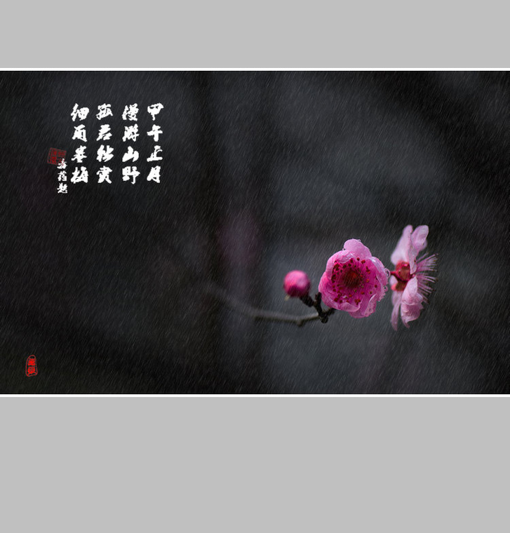 DSC_7464副本.jpg