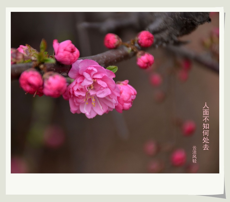 DSC_4786_副本1.jpg