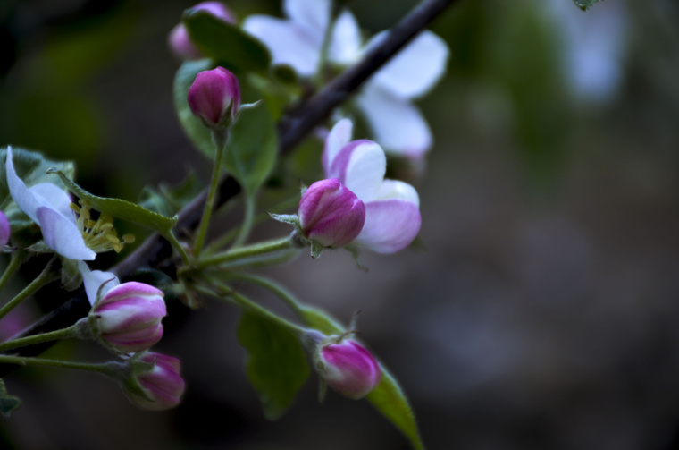DSC_5822副本.jpg