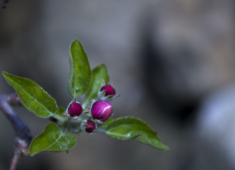 DSC_5835-1.jpg
