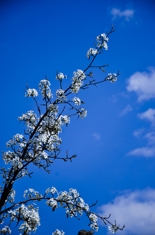 DSC_5857副本.jpg